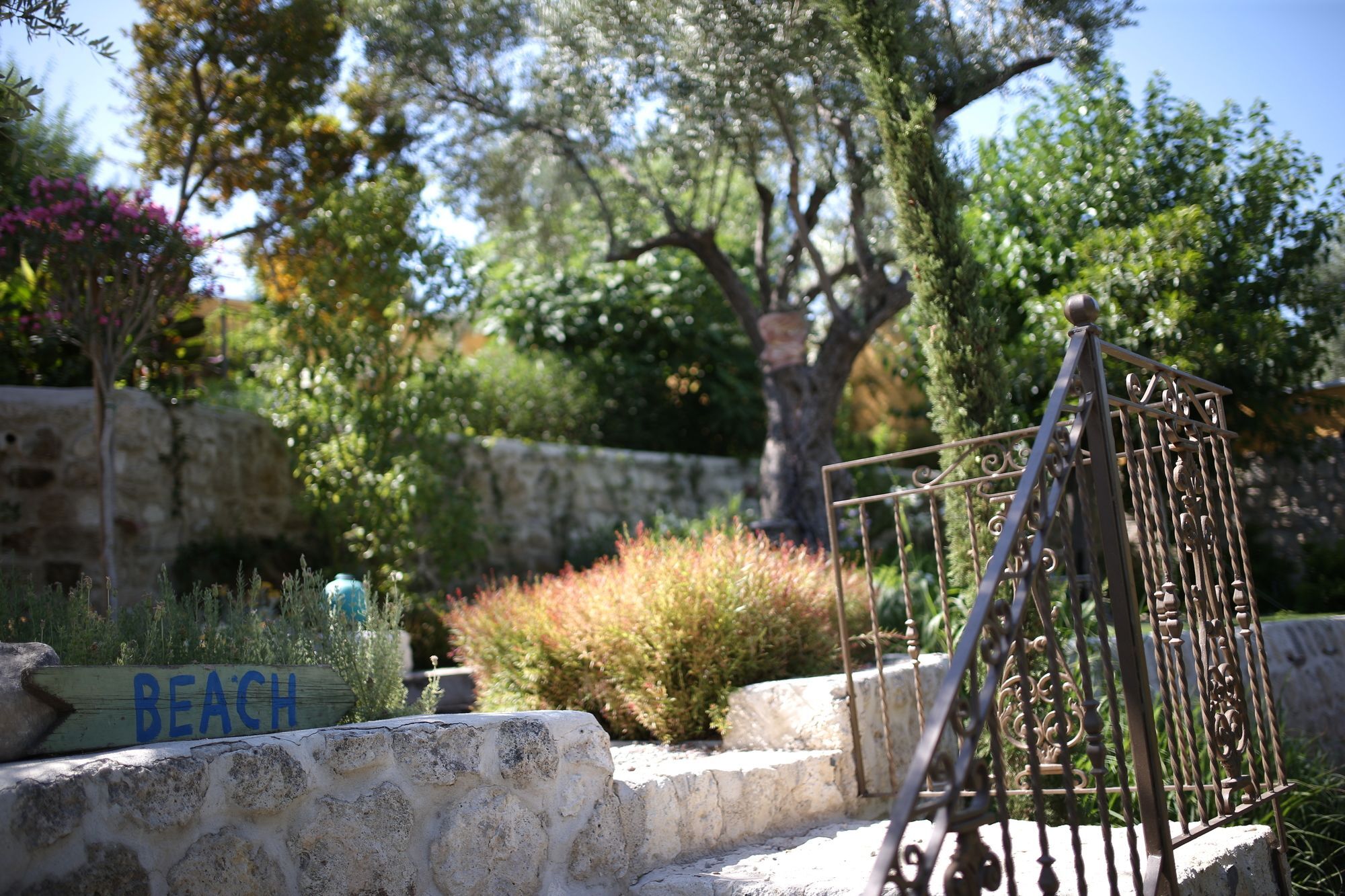 Villa Taraca Alacati Romantik Otel (Adults Only) エクステリア 写真