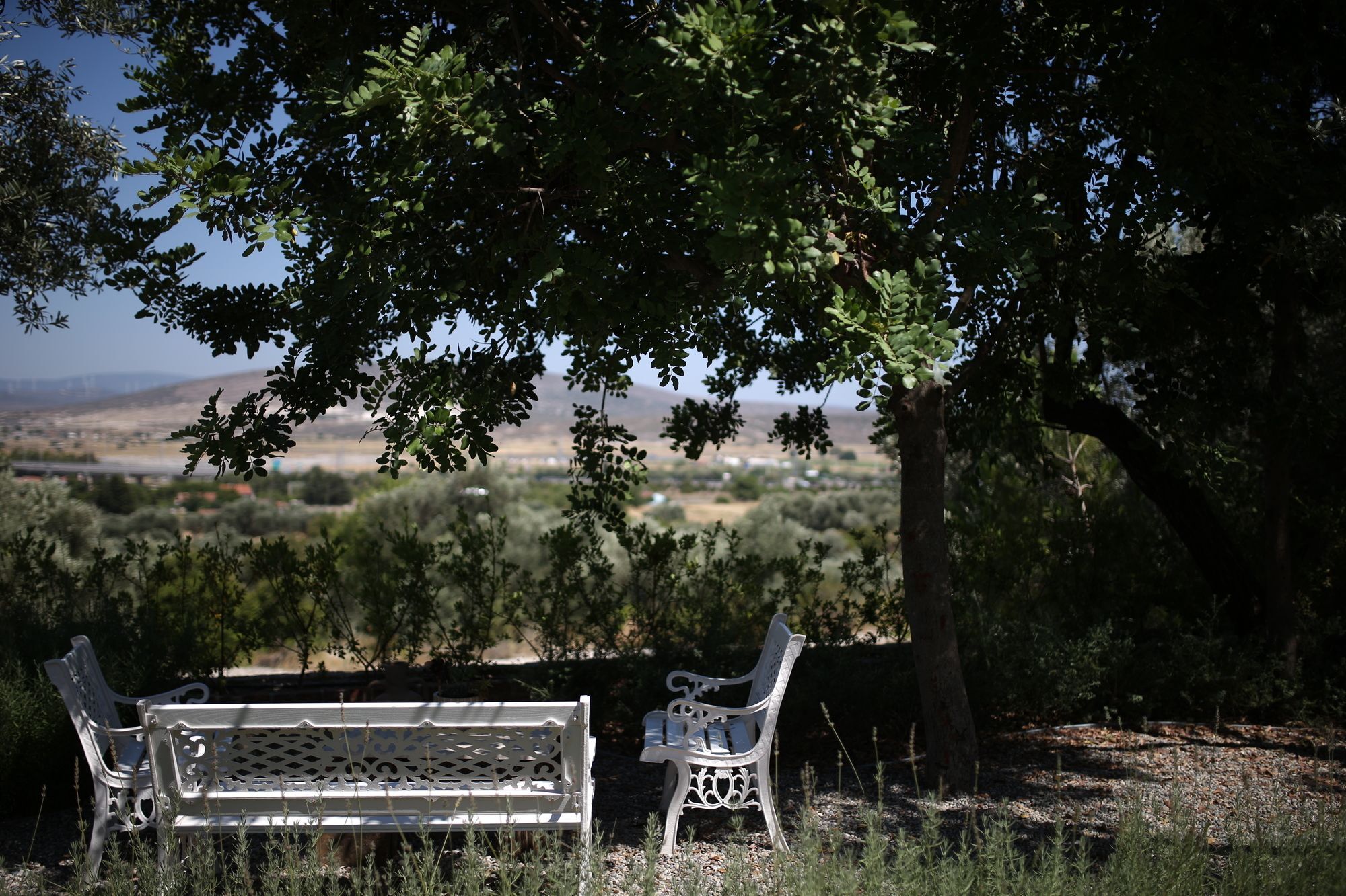 Villa Taraca Alacati Romantik Otel (Adults Only) エクステリア 写真