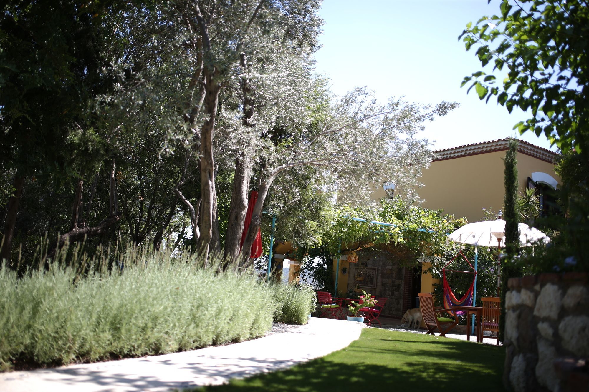 Villa Taraca Alacati Romantik Otel (Adults Only) エクステリア 写真